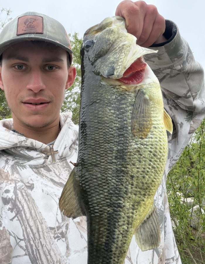 Large Bass- guide